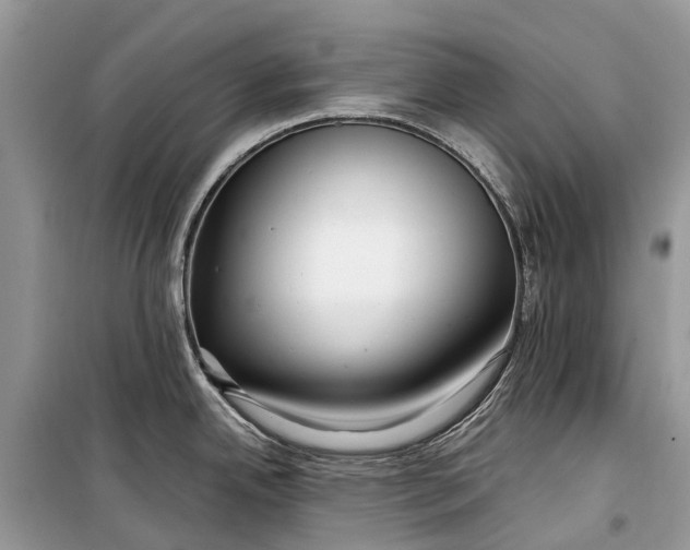 X0000099311342200805161404