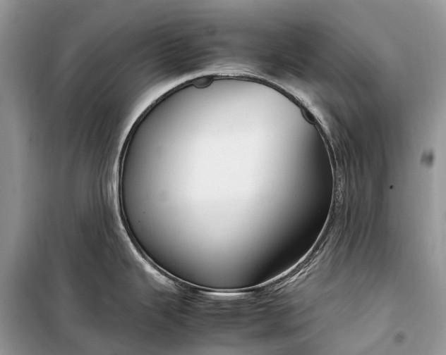 X0000099311343200805161404