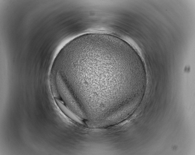 X0000099311344200805161404