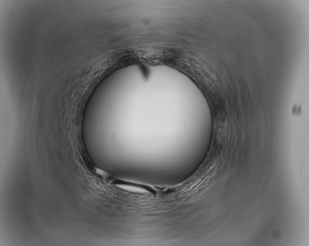 X0000099311345200805161403