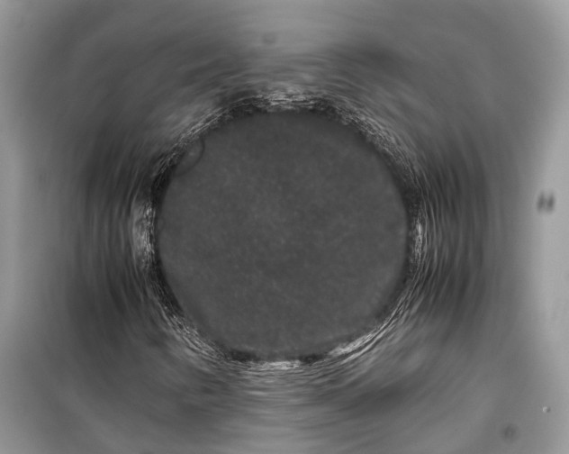 X0000099311346200805161403