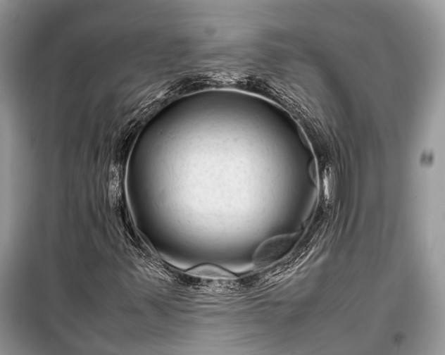 X0000099311347200805161403