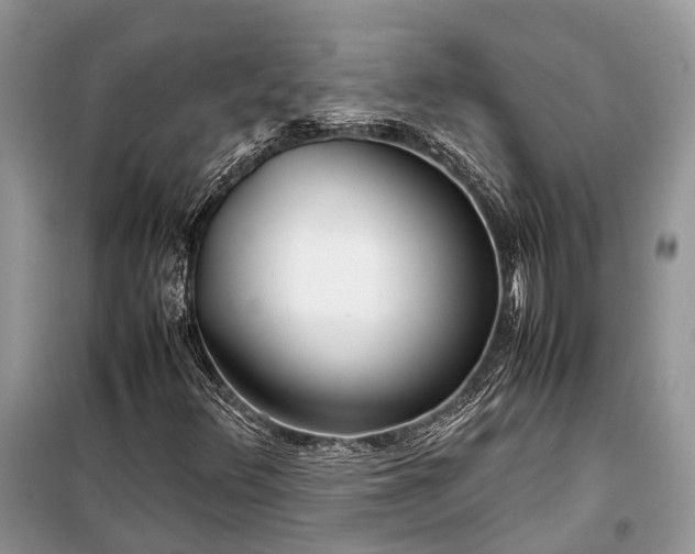 X0000099311348200805161403