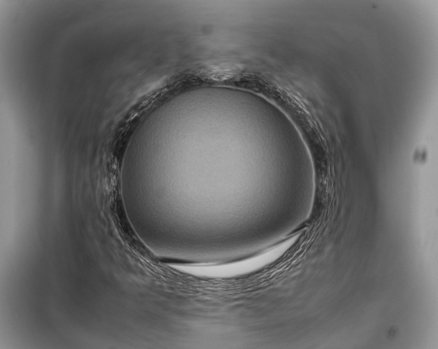 X0000099311349200805161403