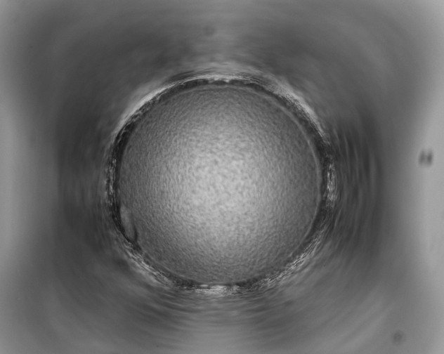 X0000099311352200805161403