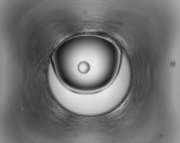 X0000099311353200805161403