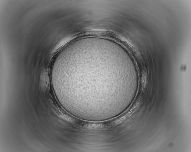 X0000099311354200805161403