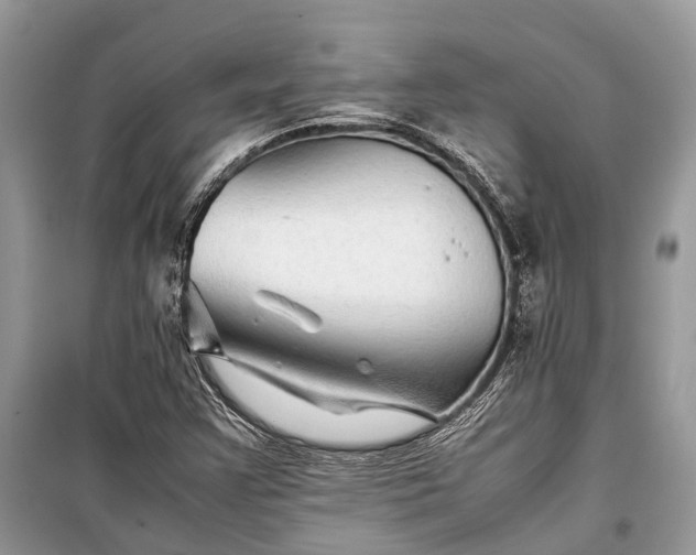 X0000099311355200805161403