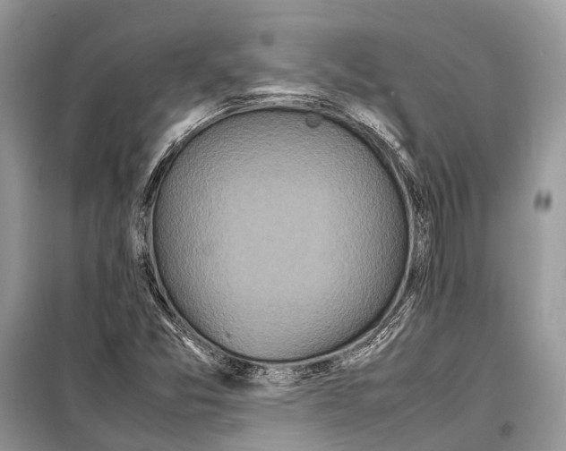 X0000099311357200805161403