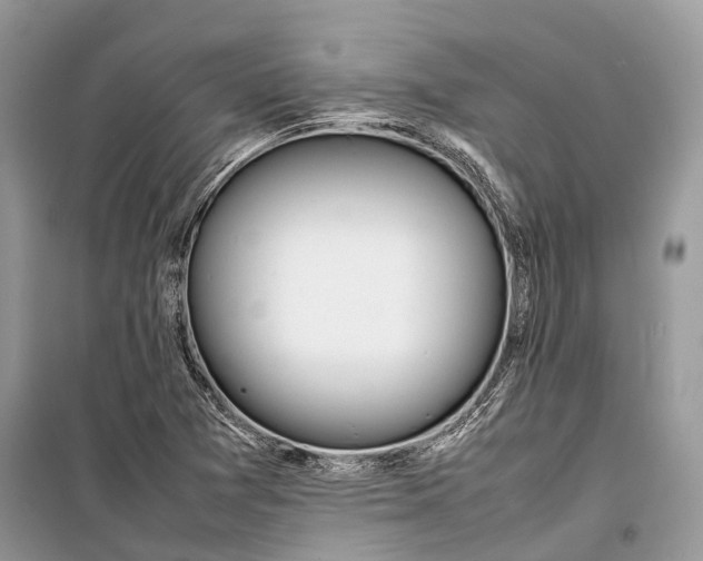 X0000099311361200805161403