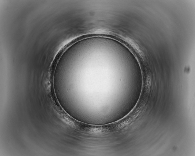 X0000099311364200805161403