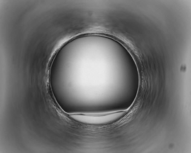 X0000099311366200805161403