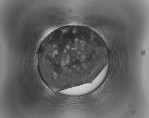 X0000099311367200805161403