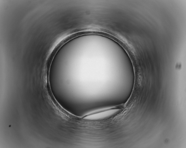 X0000099311368200805161403