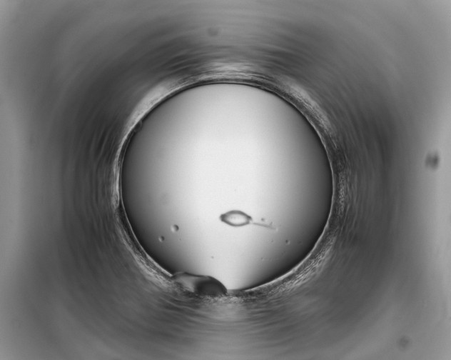 X0000099311370200805161403