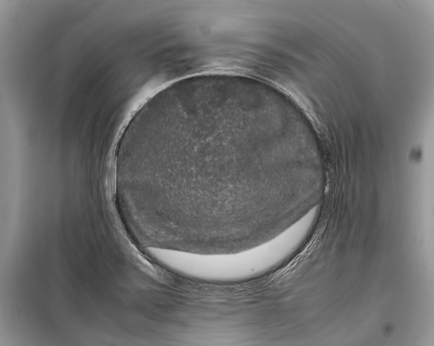 X0000099311371200805161403