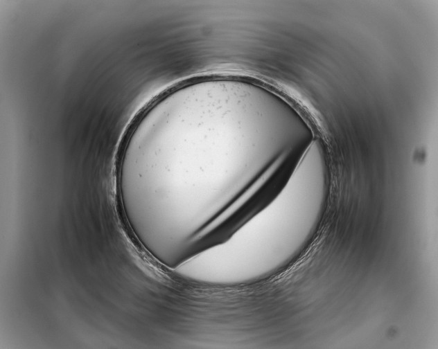 X0000099311372200805161403