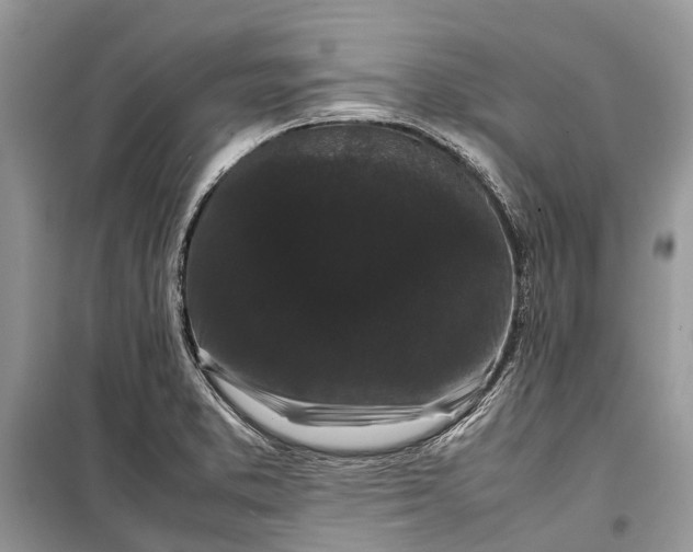 X0000099311373200805161403