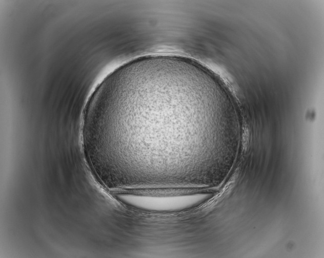 X0000099311374200805161403