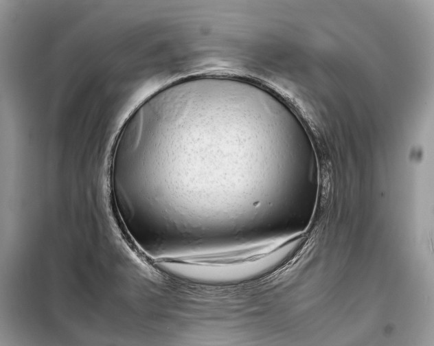 X0000099311375200805161403