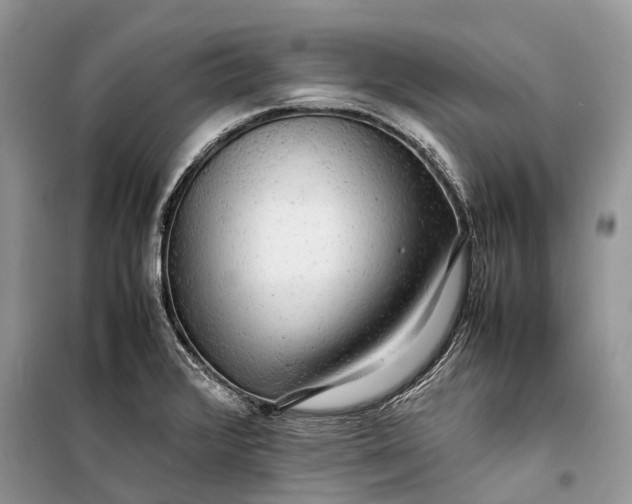 X0000099311376200805161402