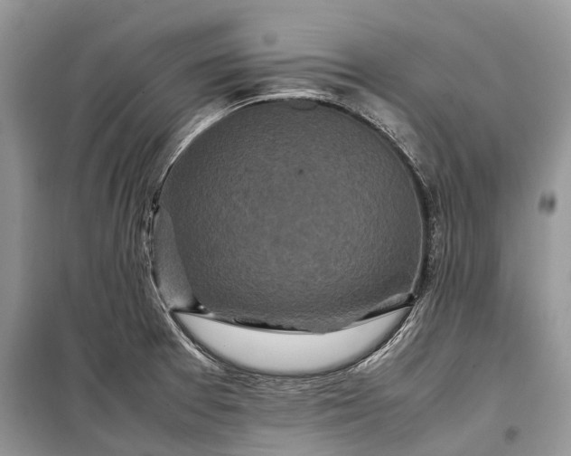 X0000099311377200805161402