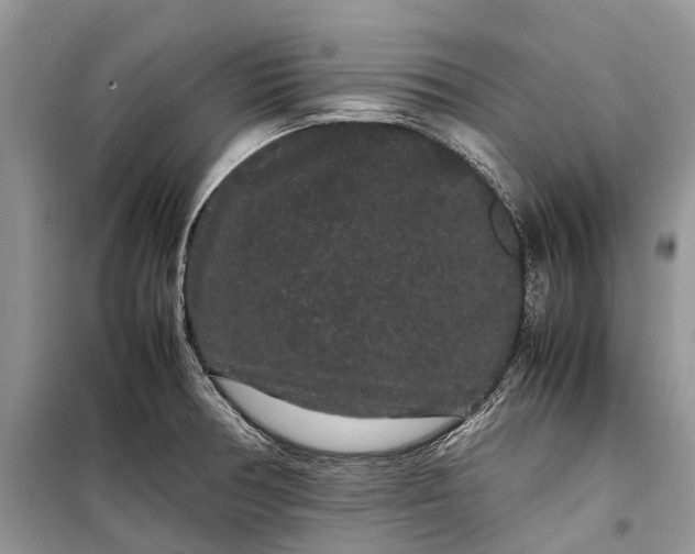 X0000099311378200805161402