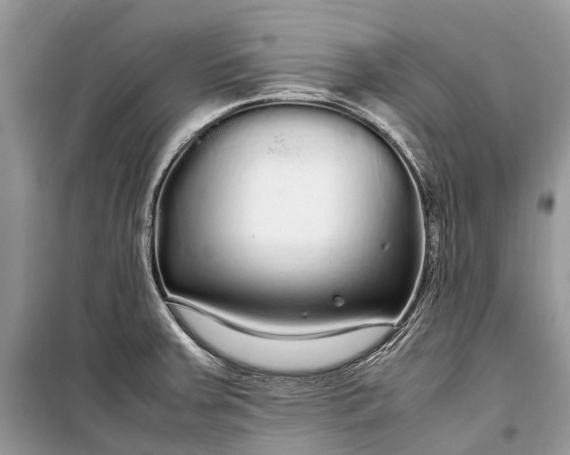 X0000099311379200805161402