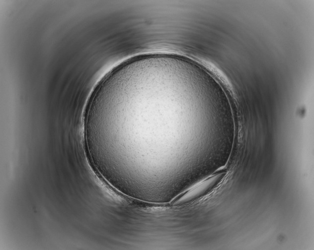 X0000099311380200805161402