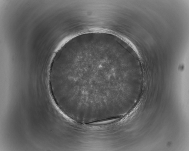 X0000099311381200805161402