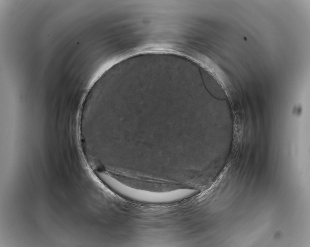 X0000099311382200805161402