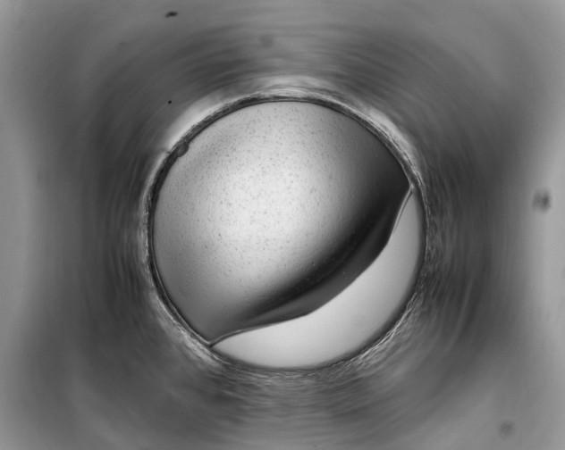 X0000099311384200805161402