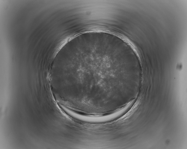 X0000099311385200805161402