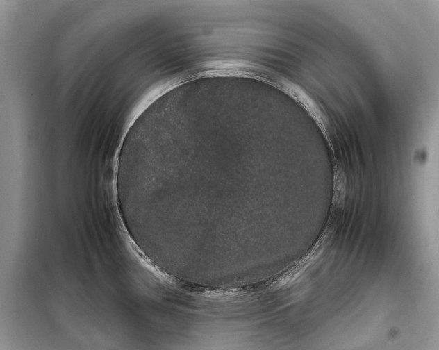 X0000099311386200805161402