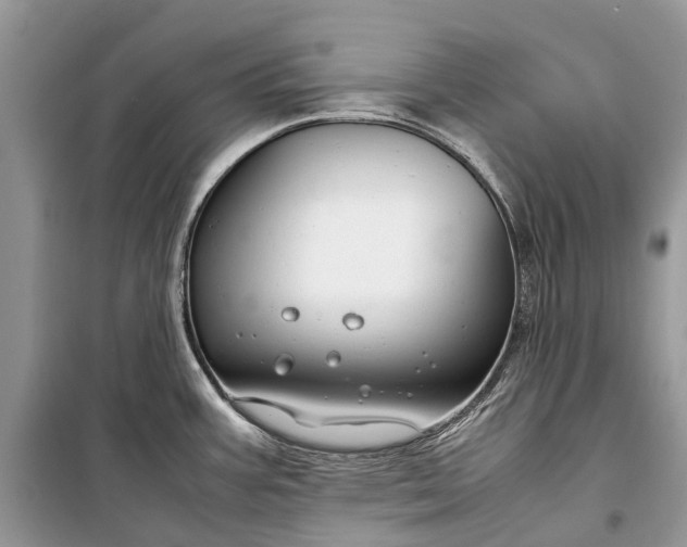 X0000099311387200805161402