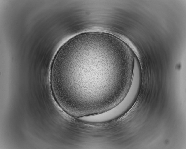 X0000099311388200805161402