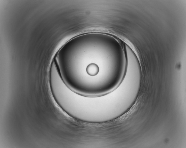 X0000099311389200805161402