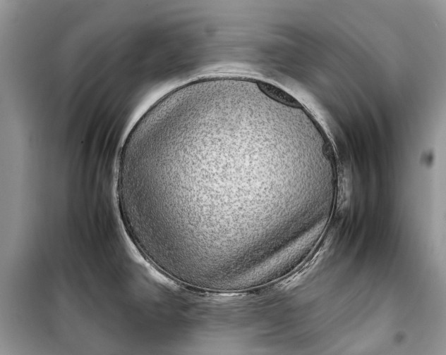 X0000099311390200805161402