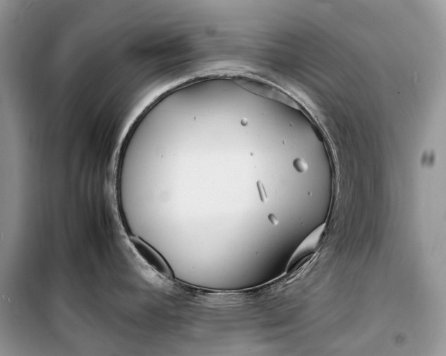 X0000099311392200805161402