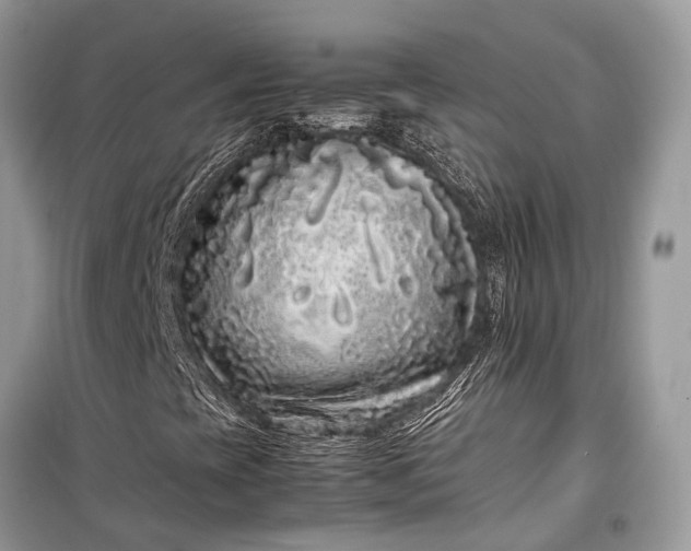 X0000099311393200805161401