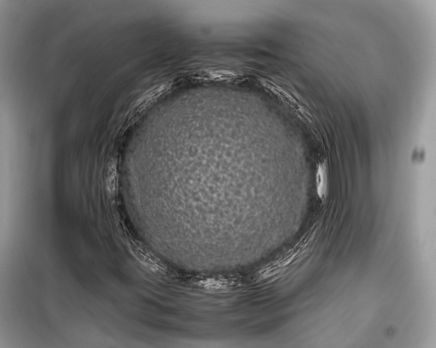 X0000099311395200805161401