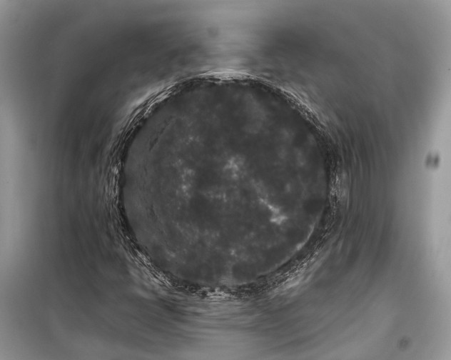 X0000099311398200805161402