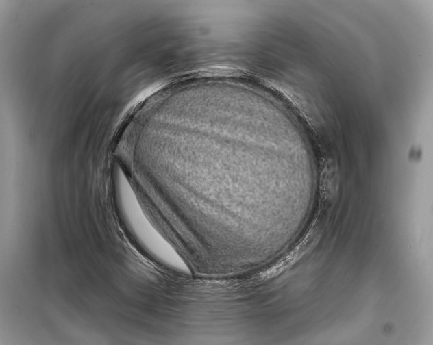 X0000099311402200805161402