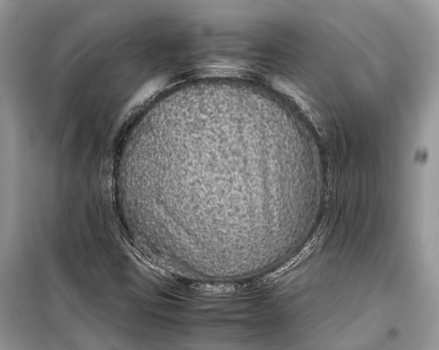 X0000099311403200805161402