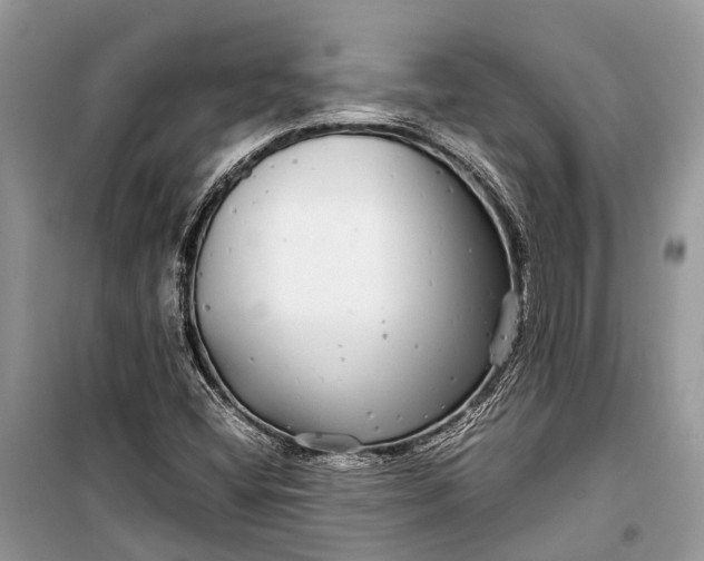 X0000099311404200805161402