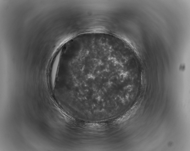 X0000099311405200805161402