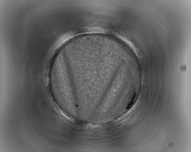 X0000099311407200805161402