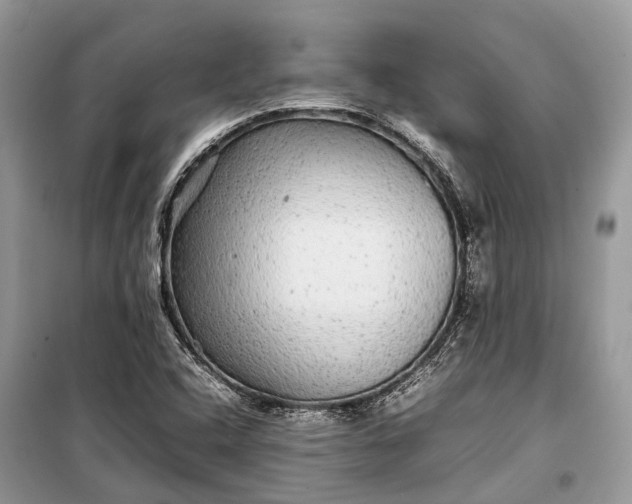 X0000099311408200805161402