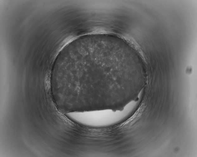 X0000099311409200805161402