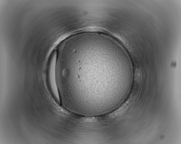 X0000099311410200805161402